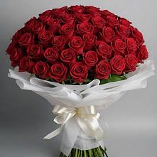 Букет 101 Красная роза Блэк Мэджик в Дровосеки