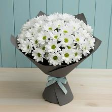 Букет цветов из:  Хризантемы в Дровосеки