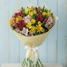 Букет цветов из:  Альстромерии в Дровосеки