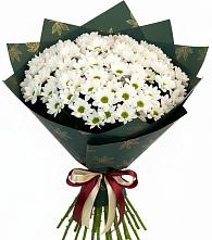 Букет цветов из:  Хризантемы в Дровосеки