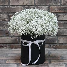 Цветочная композиция из Гипсофила в шляпной коробке в Дровосеки