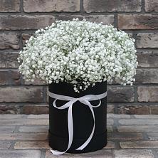 Цветочная композиция из Гипсофила в шляпной коробке в Дровосеки