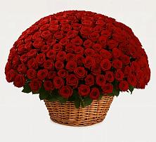 Премиум букет из: Розы в Дровосеки